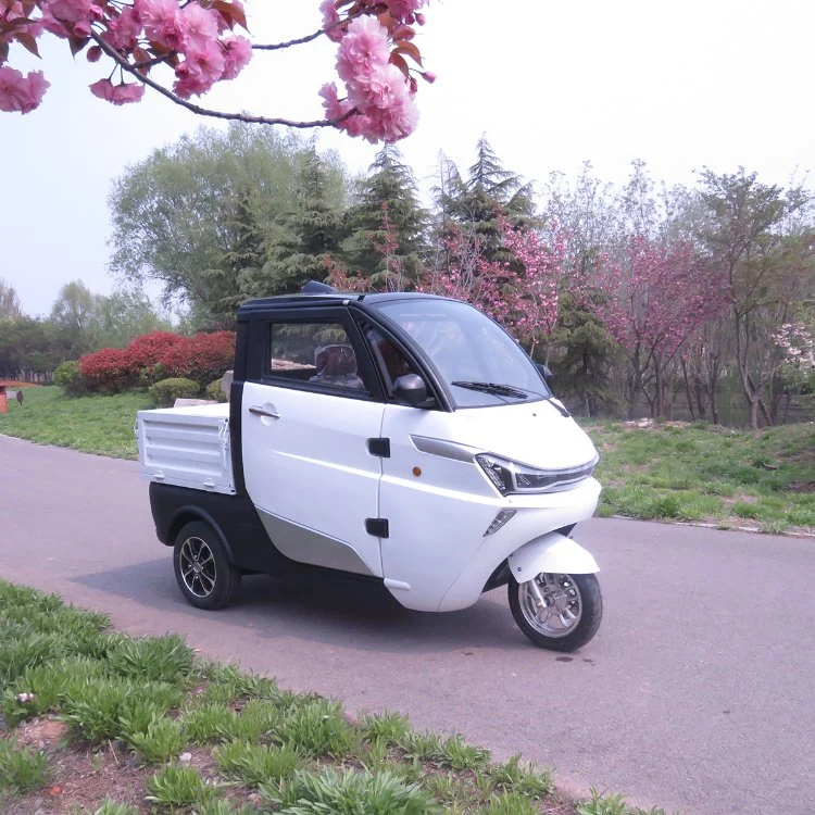 Tricycle électrique de la livraison de cargaison de batterie au lithium de circuit hydraulique de New Energy avec des ceintures de sécurité