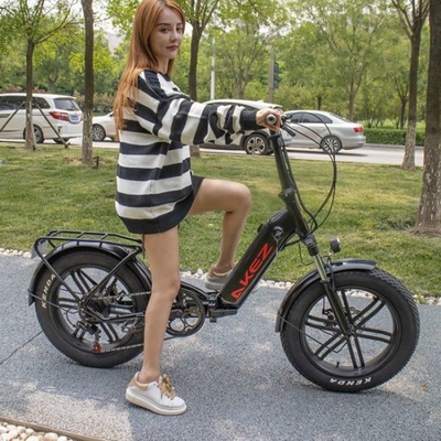 frein à disque de vélo électrique de vitesse de l'alliage d'aluminium 21 de 60km double